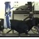 Image for article titled Wonderful Scientists Reverse Paralysis in Dogs